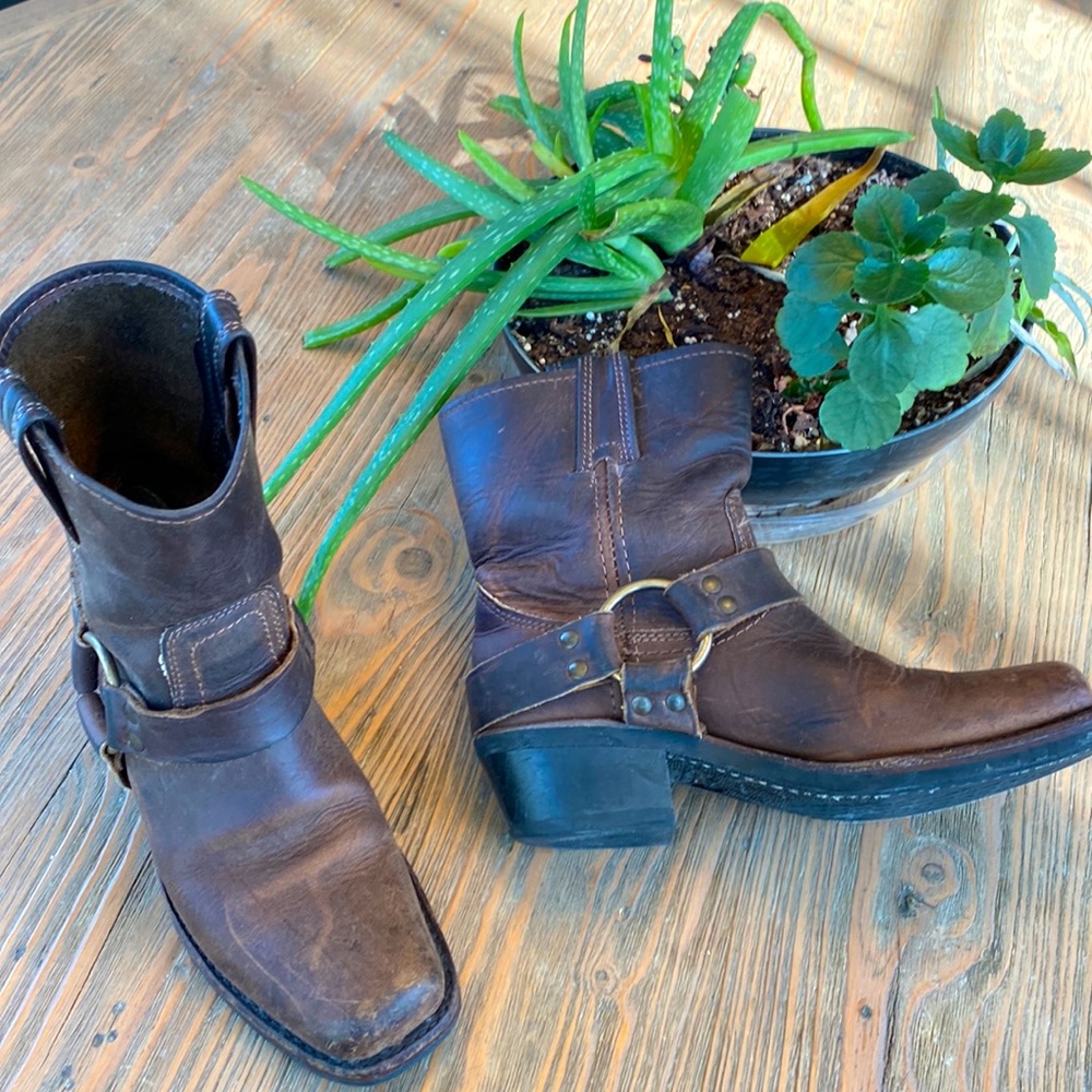 Frye ankle boots